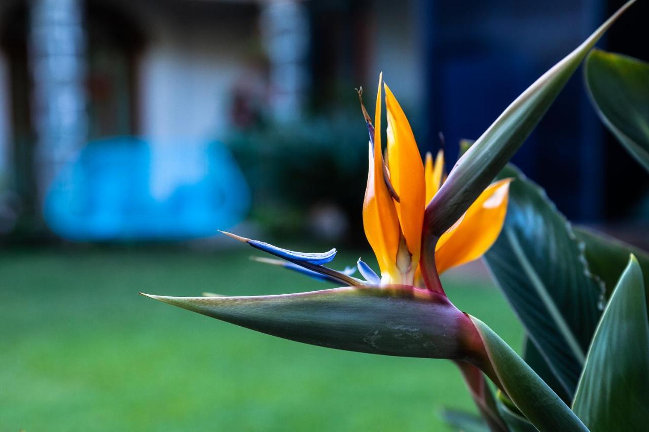 فندق Colibri Turquesa تيبوزتلان المظهر الخارجي الصورة